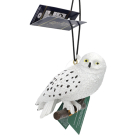 Disney Hedwig kerst ornament | Harry Potter HP24307 K151001308 - 3