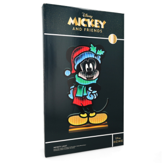 Disney Infinity Light Mickey Mouse | Disney | 60 cm (Netstroom, Binnen/Buiten) DN24508 K151001273 - 4
