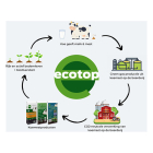 Ecotop Gazonmest | Ecotop | 5 kg (75 m², Bio-label) 8721008882000 K170115966 - 3