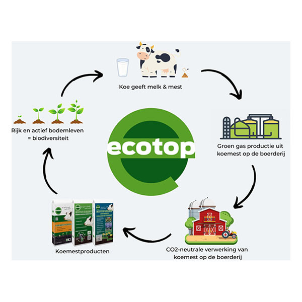 Ecotop Gedroogde koemestkorrel | Ecotop | 5 kg (50 m², Natuurlijk, Organisch) 8719327700846 K170115960 - 3