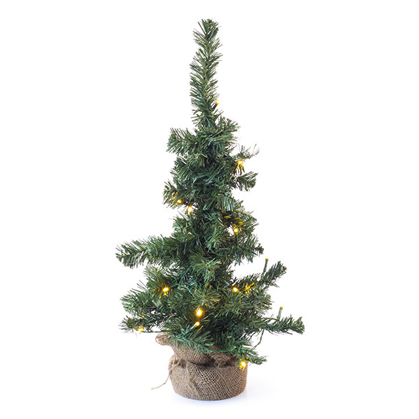 Everlands Kunstkerstboom | Everlands | 60 cm (20 leds, Timer, Batterijen, Binnen) 680195 K150302955 - 1