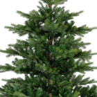 Everlands Kunstkerstboom | Everlands | Grandis Fir | 1.8 meter (1564 tips, PVC/PE) 9681451 K151100161 - 2