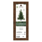 Everlands Kunstkerstboom | Everlands | Grandis Fir | 1.8 meter (1564 tips, PVC/PE) 9681451 K151100161 - 7