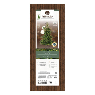 Everlands Kunstkerstboom | Everlands | Grandis Fir | 1.8 meter (400 leds, 1564 tips, PVC/PE) 9670120 K151100164 - 5