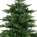 Everlands Kunstkerstboom | Everlands | Grandis Fir | 2.1 meter (2326 tips, PVC/PE) 9681452 K151100162 - 2