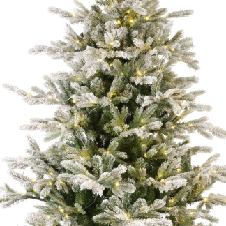 Everlands Kunstkerstboom | Everlands | Grandis Fir | 2.1 meter (550 leds, 2326 tips, PVC/PE, Besneeuwd) 9670123 K151100168 - 2