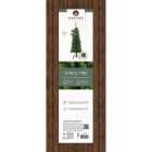 Everlands Kunstkerstboom | Everlands | Pencil Pine | 1.2 meter (210 Tips, PVC) 680059 K151000140 - 6