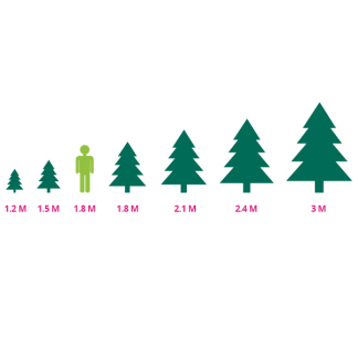 Everlands Kunstkerstboom | Everlands | Pencil Pine | 1.5 meter (323 Tips, PVC, Smal) 680060 K151000141 - 7