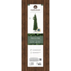 Everlands Kunstkerstboom | Everlands | Pencil Pine | 1.5 meter (323 tips, PVC, Smal) 680060 K151000141 - 6