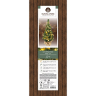 Everlands Kunstkerstboom met versiering | 60 centimeter (20 leds, Timer, Goud, Binnen) 680384 K151000146 - 3