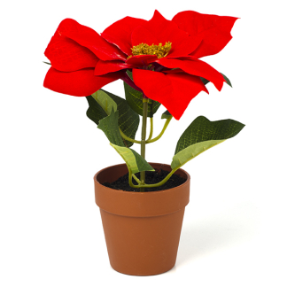 Everlands Kunstplant Kerstster | Everlands | 20 cm (In pot, Ø 18 cm) 627877 K151000741