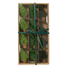 Everlands Mini kerstboom | Everlands | 7 cm | 12 stuks 687647 K151001911 - 2