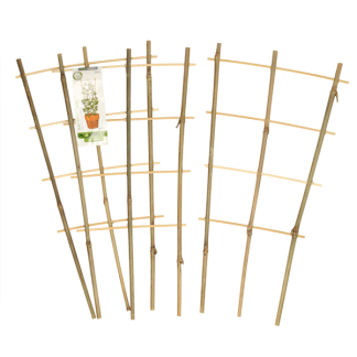 Gardalux Klimrek planten | Gardalux | 46 x 24 centimeter (3 stuks, Bamboe) 836610100 K170105397 - 3