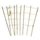 Gardalux Klimrek planten | Gardalux | 46 x 24 centimeter (3 stuks, Bamboe) 836610100 K170105397 - 3