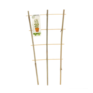 Gardalux Klimrek planten | Gardalux | 46 x 24 centimeter (3 stuks, Bamboe) 836610100 K170105397