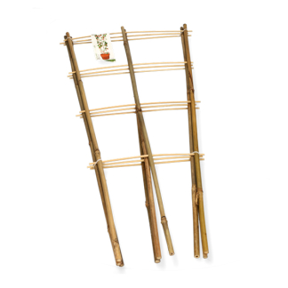 Gardalux Klimrek planten | Gardalux | 75 x 35 centimeter (3 stuks, Bamboe) 836610110 K170105396 - 1