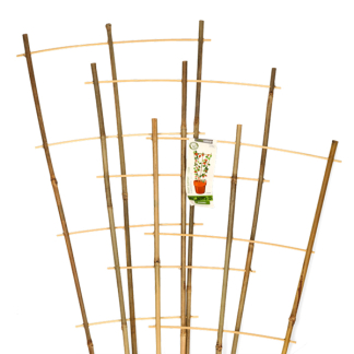 Gardalux Klimrek planten | Gardalux | 75 x 35 centimeter (3 stuks, Bamboe) 836610110 K170105396 - 3