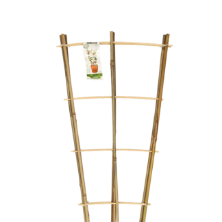 Gardalux Klimrek planten | Gardalux | 75 x 35 centimeter (3 stuks, Bamboe) 836610110 K170105396 - 2