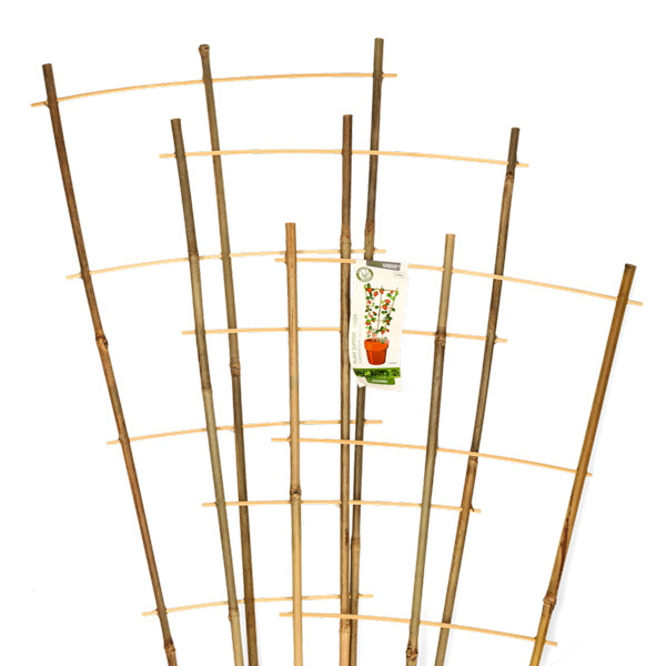 Gardalux Klimrek planten | Gardalux | 75 x 35 cm | 3 stuks (Bamboe) 836610110 K170105396 - 3