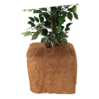 Gardalux Kokosmat | Gardalux | 150 x 50 cm (Op rol) CY8954520 K170105874 - 2