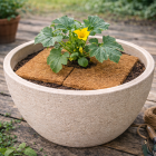 Gardalux Kokosmat | Gardalux | 38 x 38 cm (Afbreekbaar, Vierkant) CY8954510 K170105873 - 4