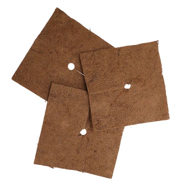 Gardalux Kokosmat | Gardalux | 38 x 38 cm (Vierkant) CY8954510 K170105873 - 2