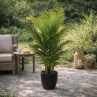 Gardalux Kunstpalm | Gardalux | 94 cm (In pot, Ø 75 cm) 318000720 K170105888 - 2