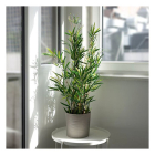 Gardalux Kunstplant Bamboe | Gardalux | 90 cm (In pot) 318000990 K170105891 - 3