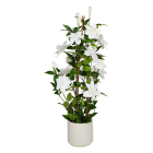 Gardalux Kunstplant Clematis | Gardalux | 98 cm (In pot) 318001480 K170105897 - 1