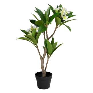 Gardalux Kunstplant Frangipani | Gardalux | 90 cm (In pot) 318001420 K170105895