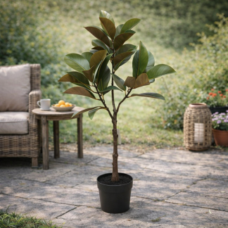 Gardalux Kunstplant Magnolia | Gardalux | 95 cm (In pot) 318001460 K170105896 - 2