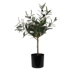 Gardalux Kunstplant Olijfboom | Gardalux | 66 cm (In pot) 317002910 K170105885 - 1