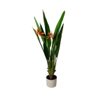 Gardalux Kunstplant Strelitzia | Gardalux | 120 cm (In pot) 318001510 K170105898 - 1