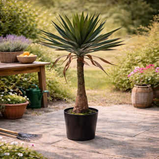 Gardalux Kunstplant Yucca | Gardalux | 90 cm (In pot) 318000880 K170105890 - 2