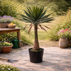 Gardalux Kunstplant Yucca | Gardalux | 90 cm (In pot) 318000880 K170105890 - 2