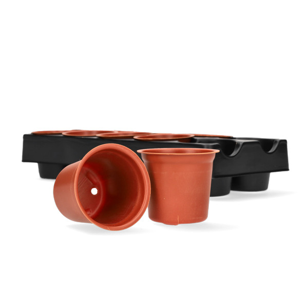 Gardalux Kweekpotjes | Gardalux | 10 stuks (Tray, Rond, 5 x Ø 6 cm per potje) CY8002180 K170105381 - 1
