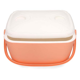 Gardalux Passieve koelbox | Gardalux | 20 liter (Draagbeugel, Afsluitbaar, Roze) Y22000110 K170105299 - 3