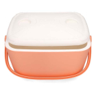 Gardalux Passieve koelbox | Gardalux | 20 liter (Draagbeugel, Afsluitbaar, Roze) Y22000110 K170105299 - 3
