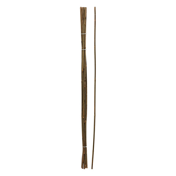 Gardalux Plantenstok | Gardalux | 116 cm | 10 stuks (Ø 6/9 mm, Bamboe) 836610160 K170105859 - 1