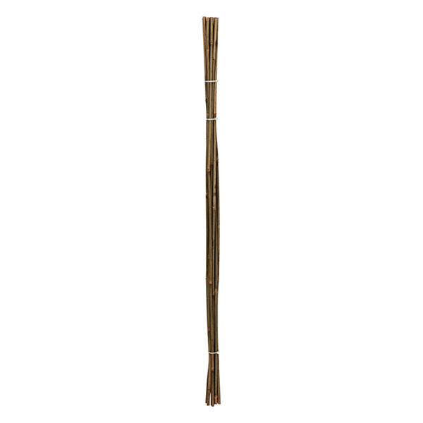 Gardalux Plantenstok | Gardalux | 116 cm | 10 stuks (Ø 6/9 mm, Bamboe) 836610160 K170105859 - 2