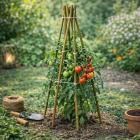 Gardalux Plantenstok | Gardalux | 116 cm | 10 stuks (Ø 6/9 mm, Bamboe) 836610160 K170105859 - 4