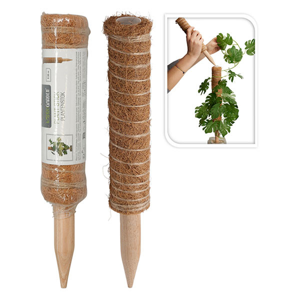 Flexibele Plantensteunen met Clips voor Orchideeën en Klimplanten (40 cm