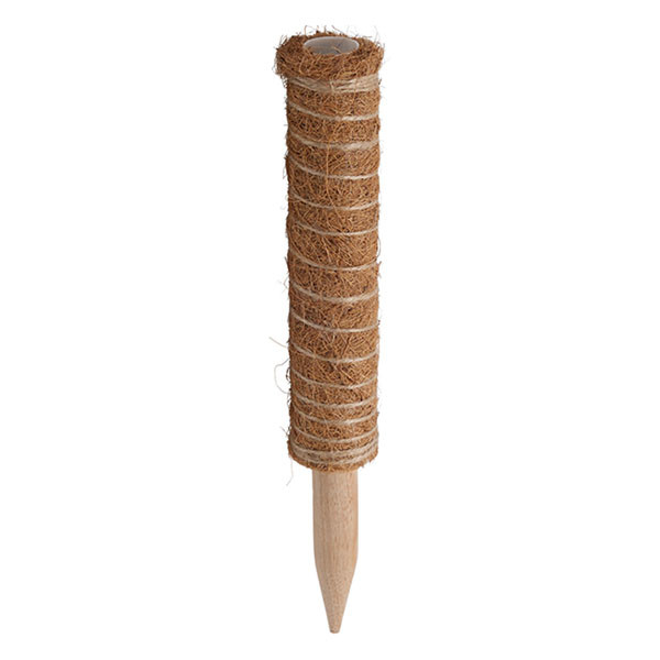Gardalux Plantenstok | Gardalux | 30 cm x Ø 45 mm (Kokos) CY8954550 K170105882 - 2