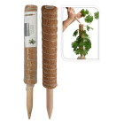 Gardalux Plantenstok | Gardalux | 40 cm x Ø 45 mm (Kokos) CY8954560 K170105883 - 3