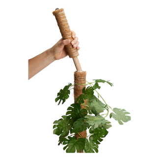 Gardalux Plantenstok | Gardalux | 40 cm x Ø 45 mm (Kokos) CY8954560 K170105883 - 5