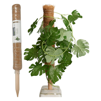 Gardalux Plantenstok | Gardalux | 50 cm x Ø 45 mm (Kokos) CY8954570 K170105884 - 2