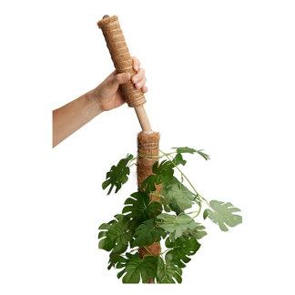 Gardalux Plantenstok | Gardalux | 50 cm x Ø 45 mm (Kokos) CY8954570 K170105884 - 3