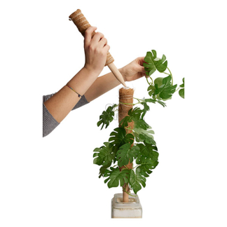 Gardalux Plantenstok | Gardalux | 50 cm x Ø 45 mm (Kokos) CY8954570 K170105884 - 4