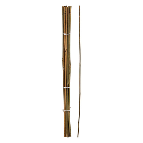 Gardalux Plantenstok | Gardalux | 60 cm | 10 stuks (Ø 6/9 mm, Bamboe) 836610140 K170105857 - 1