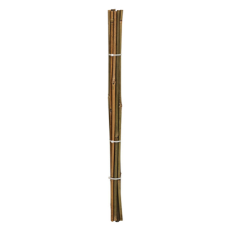 Gardalux Plantenstok | Gardalux | 60 cm | 10 stuks (Ø 6/9 mm, Bamboe) 836610140 K170105857 - 2